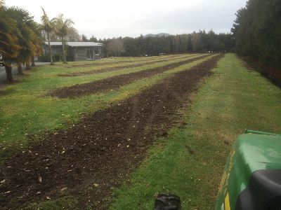 Click for a higher resolution image Pre-Rennovated Paddock