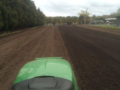 Click for a higher resolution image Rotary Hoeing