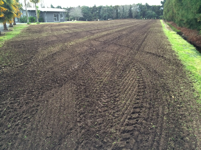 Click for a higher resolution image Hoed and Sowed Paddock
