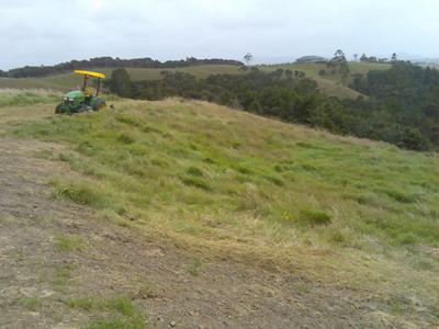 Pasture to Park 1.jpg
